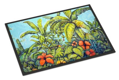 Banana Cabana Doormat Front Door Mat Indoor Outdoor Rugs for Entryway, Non Slip Washable Low Pile, 24H X 36W