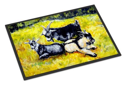 Scooter Pooter and Tooter Goats Doormat Front Door Mat Indoor Outdoor Rugs for Entryway, Non Slip Washable Low Pile, 24H X 36W